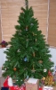 Christmas-2008.jpg